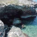 Sono presenti anche grotte, tra cui spicca quella di �Torre Ripagnola�